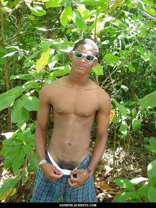 robert03